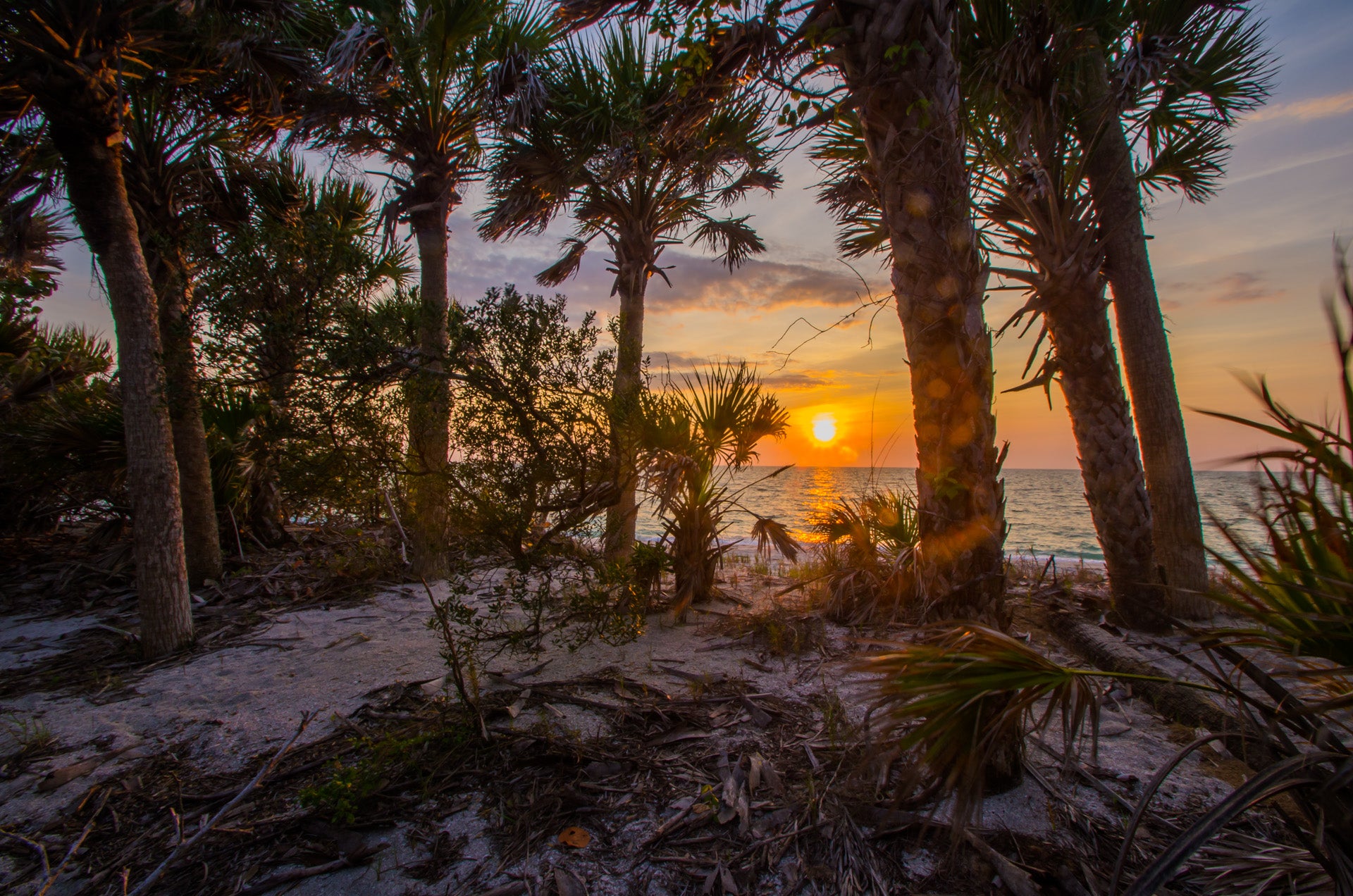 Culture of Cayo Costa Florida State Parks